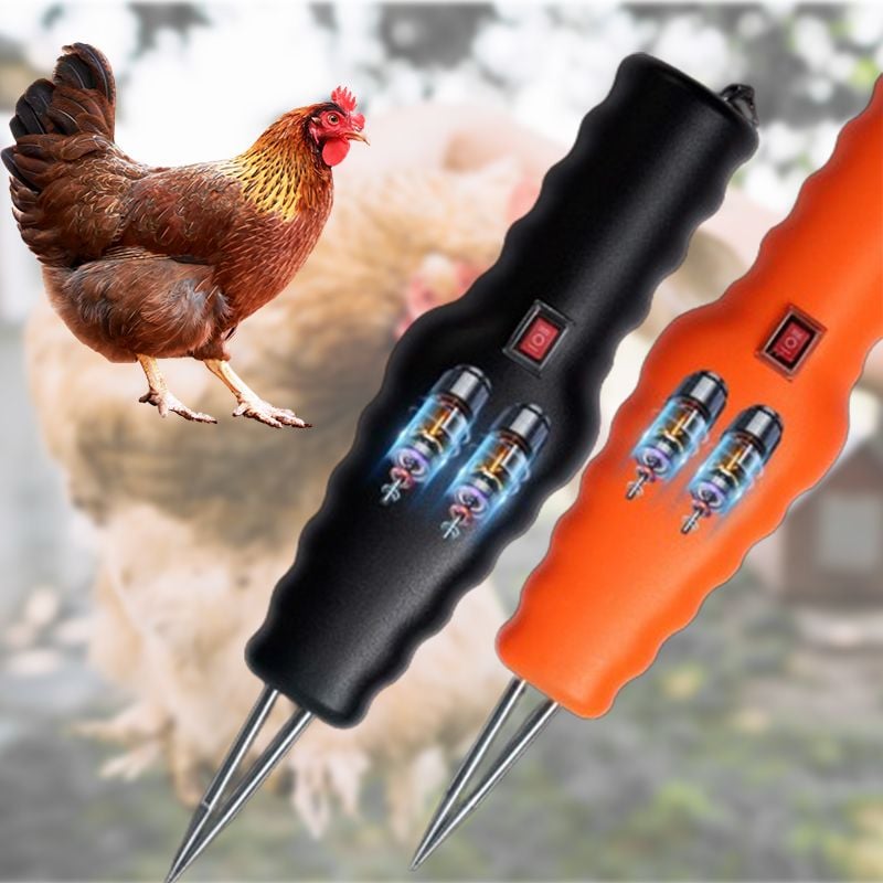 🔥Last Day Promotion - 40% OFF🎁Electric Quick Chicken Plucker（Make things easy.）