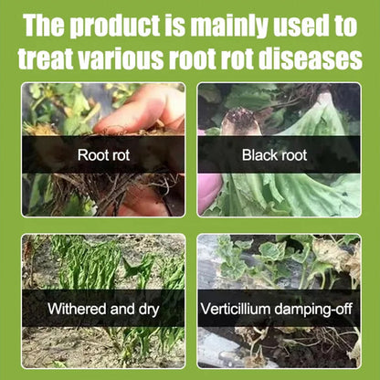 Welcome The Joy Of Harvest-✨Plant, Melon And Fruit Microbial Bacterial Agent