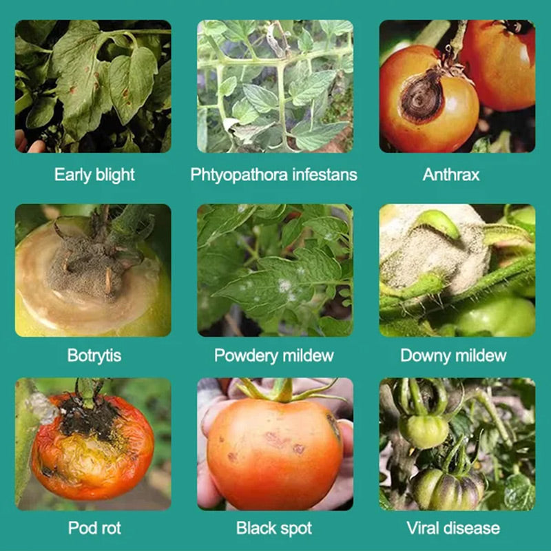 Welcome The Joy Of Harvest-✨Plant, Melon And Fruit Microbial Bacterial Agent