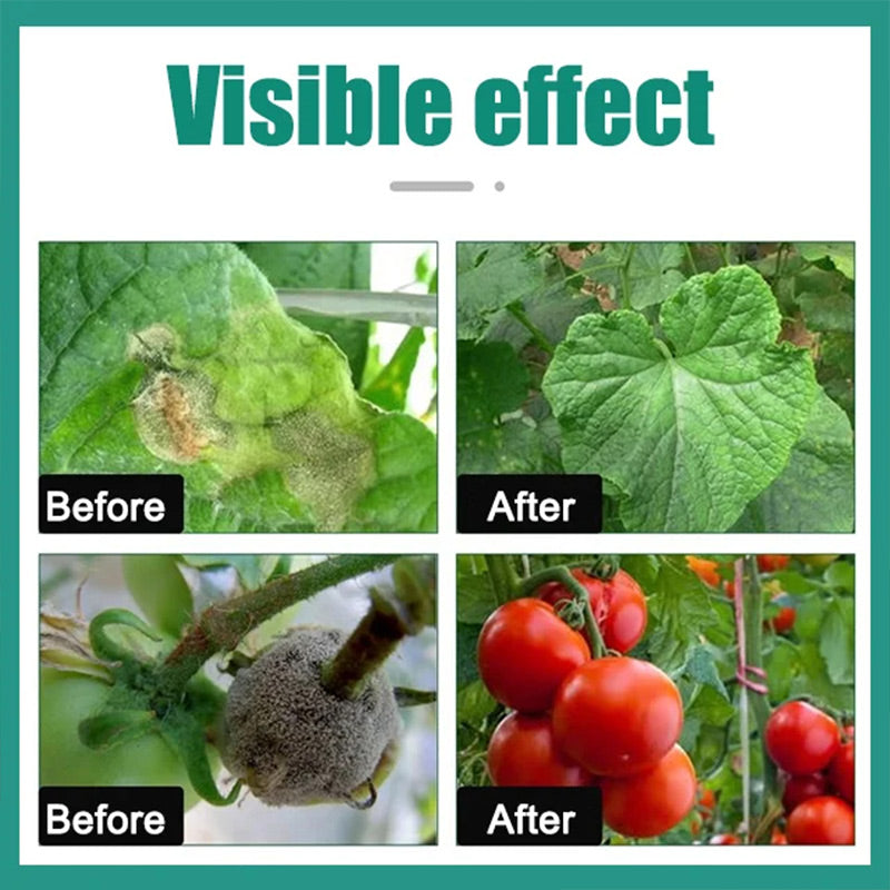 Welcome The Joy Of Harvest-✨Plant, Melon And Fruit Microbial Bacterial Agent