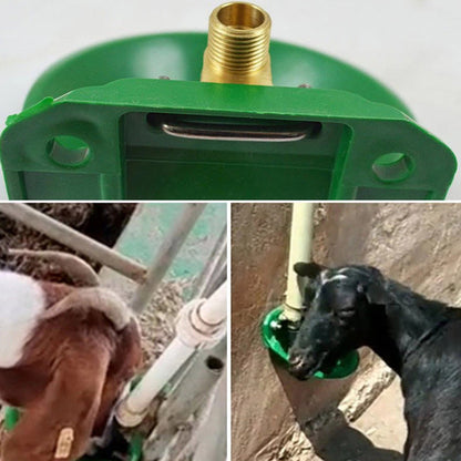 Automatic Sheep Water Bowl with Copper Valve